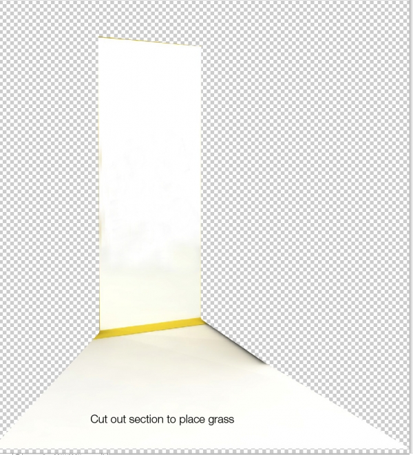 Creation of A new life: Step 2